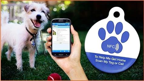 nfc chip for pets